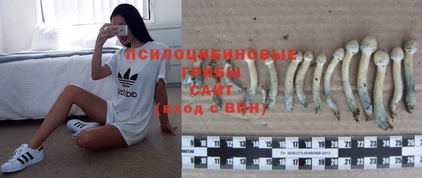 метадон Покачи