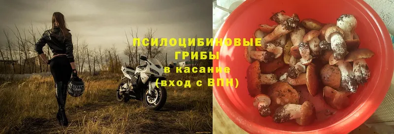 Псилоцибиновые грибы мухоморы  купить наркотик  ссылка на мегу как зайти  Баймак 